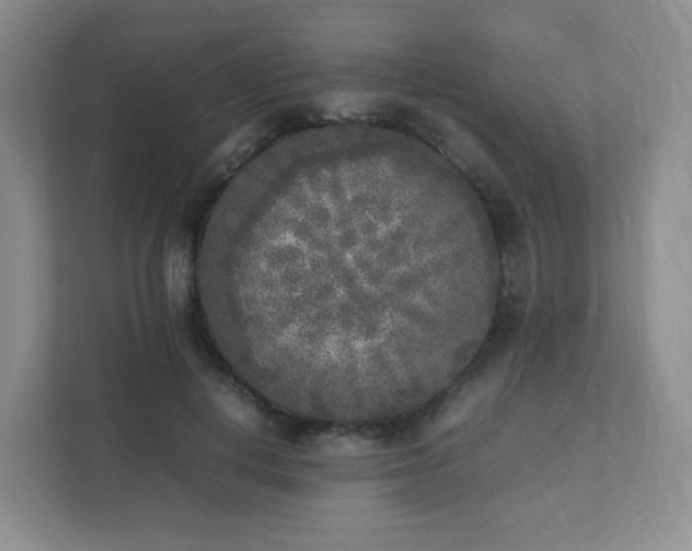 X0000111530648200907211245