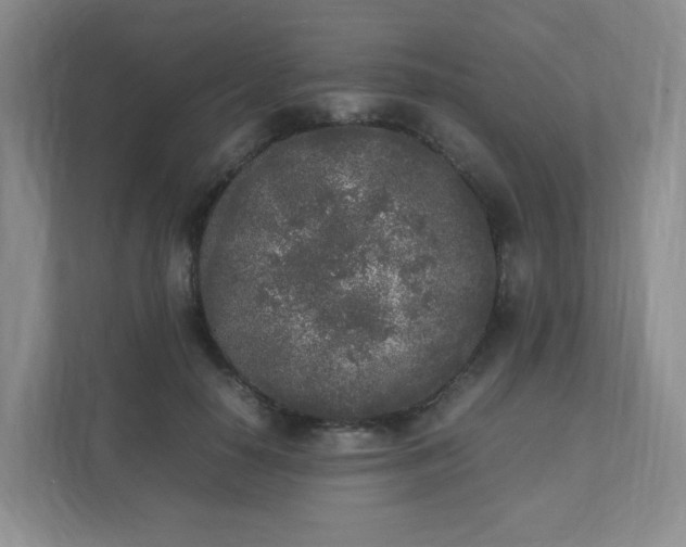 X0000111530650200907211245