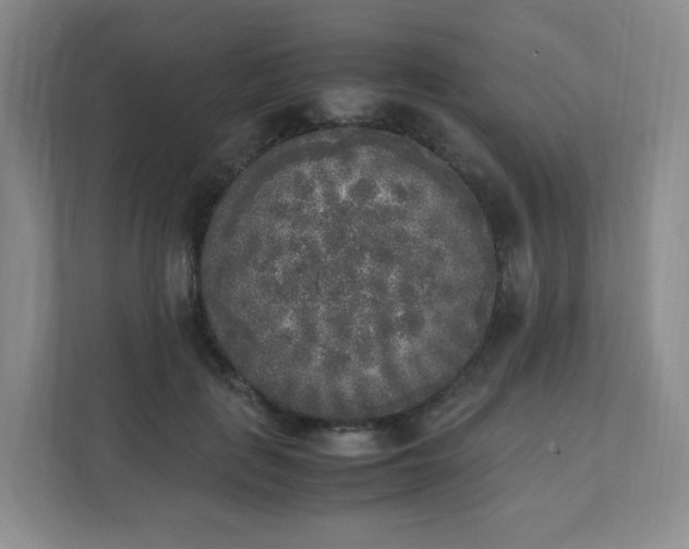 X0000111530651200907211245