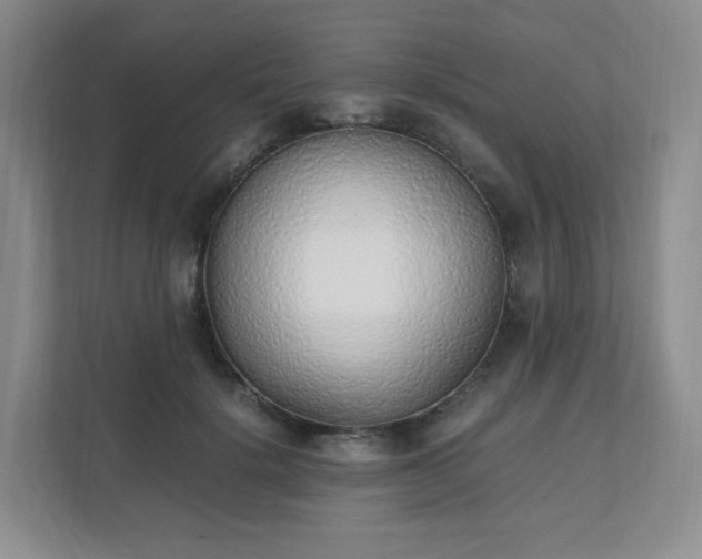 X0000111530652200907211245