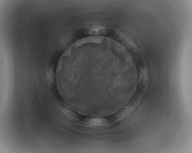 X0000111530659200907211245