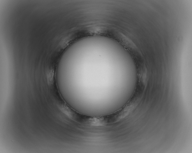 X0000111530660200907211245