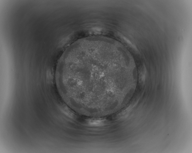 X0000111530661200907211245