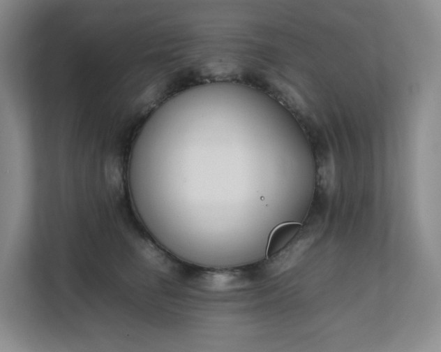 X0000111530662200907211245