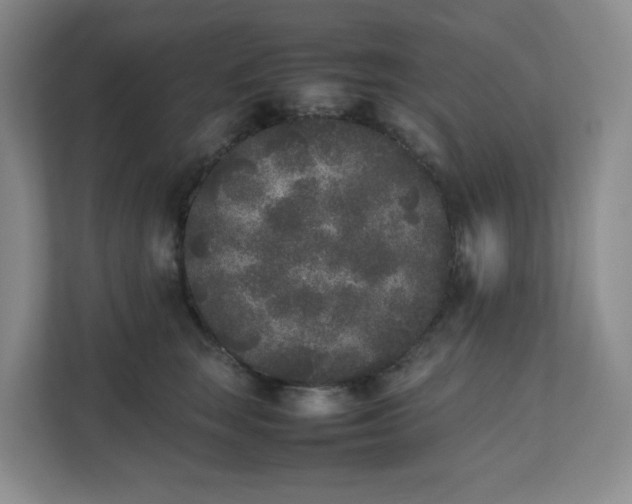 X0000111530663200907211245