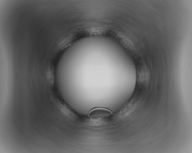 X0000111530666200907211246