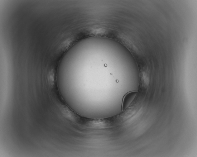 X0000111530668200907211246