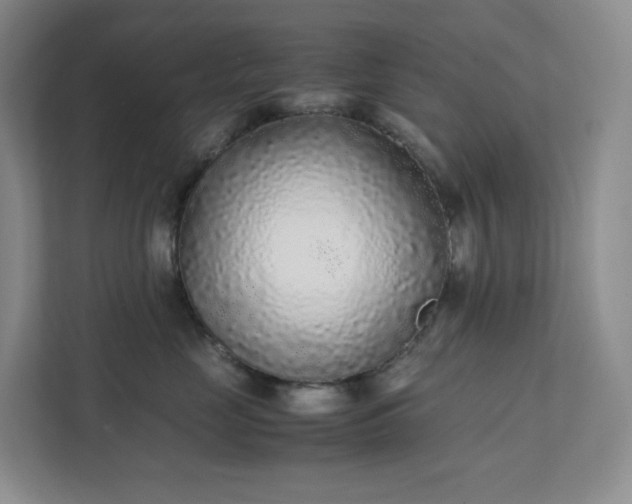 X0000111530669200907211246