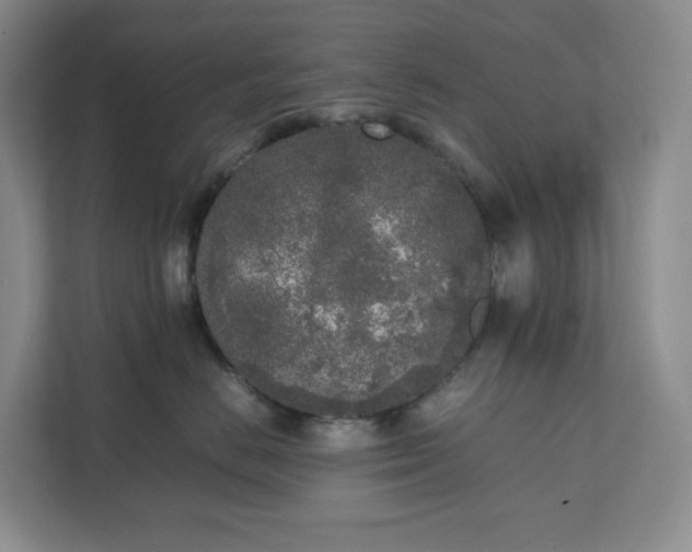 X0000111530670200907211246