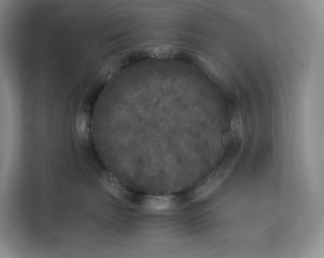 X0000111530671200907211246