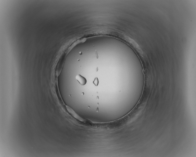 X0000111530673200907211245