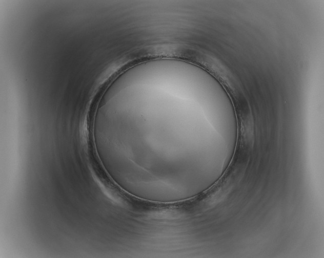 X0000111530674200907211245