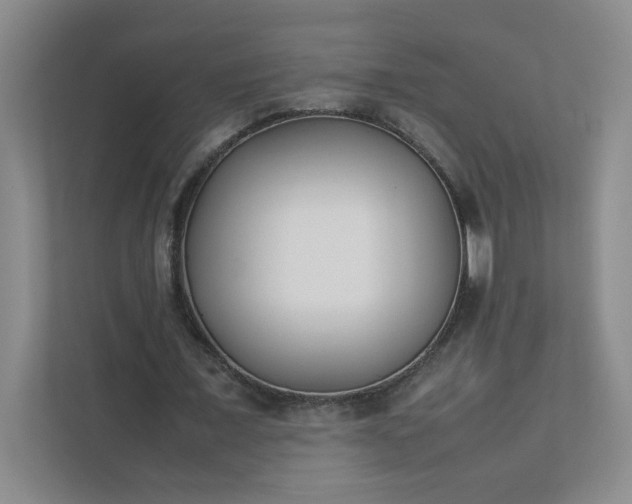 X0000111530675200907211245