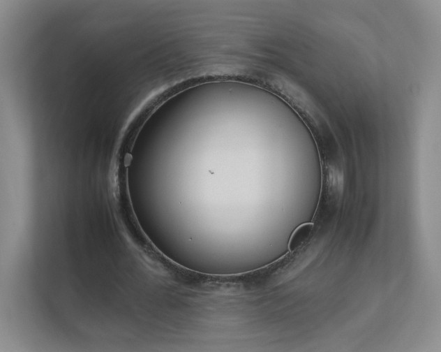 X0000111530676200907211245