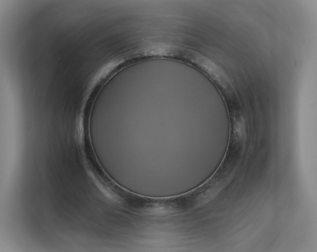 X0000111530678200907211245