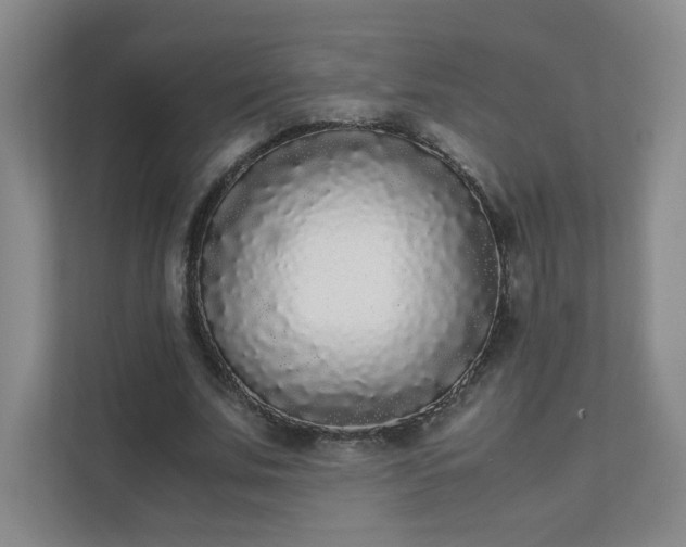 X0000111530679200907211245