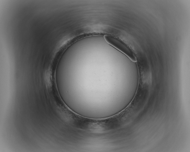 X0000111530680200907211245