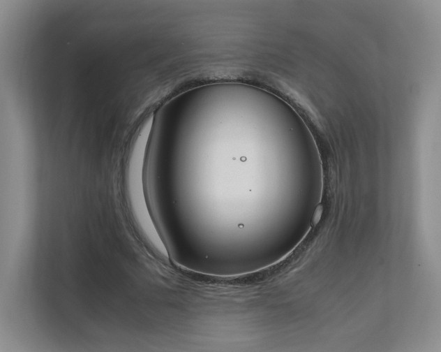 X0000111530681200907211245