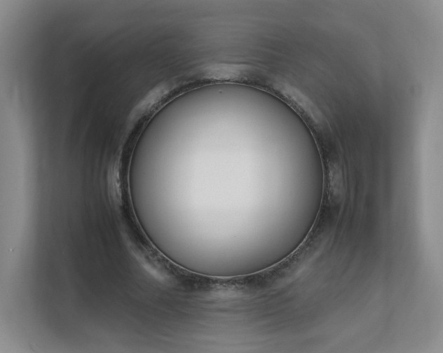 X0000111530682200907211245