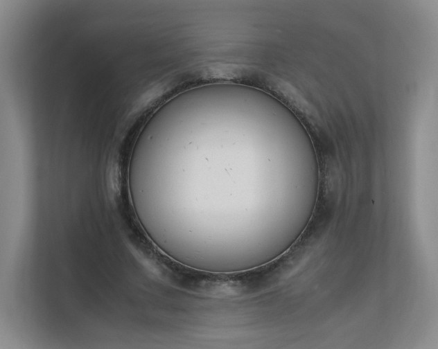 X0000111530683200907211245