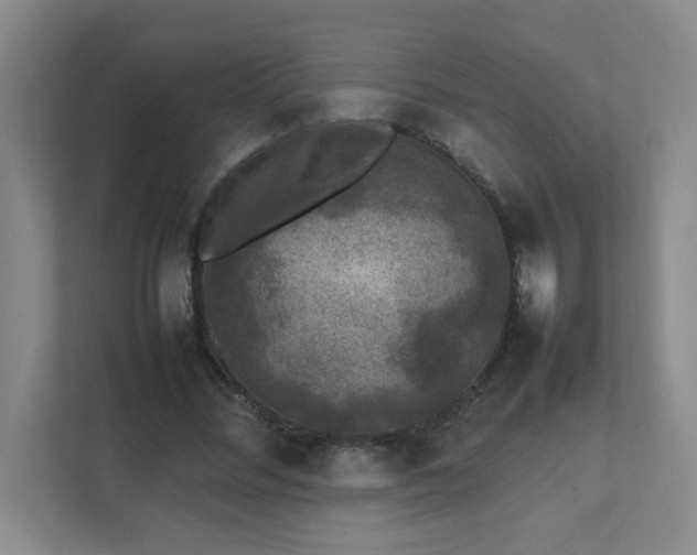 X0000111530684200907211245