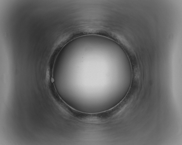 X0000111530685200907211245