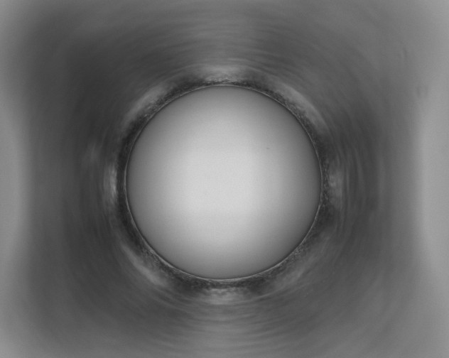 X0000111530686200907211245