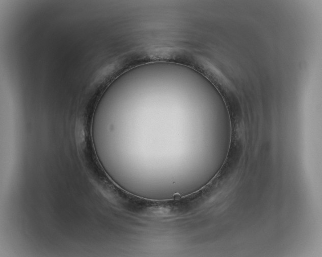 X0000111530687200907211245