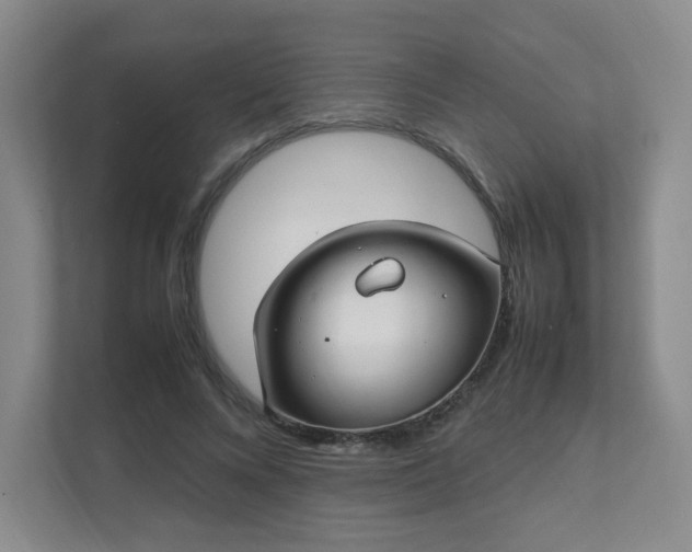 X0000111530688200907211245