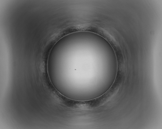 X0000111530689200907211245