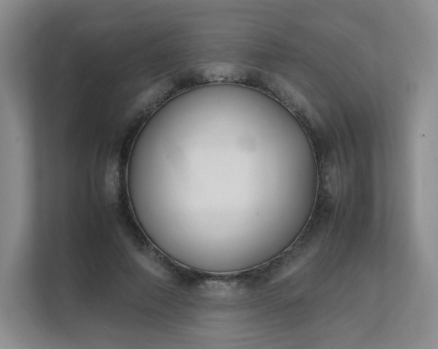 X0000111530690200907211245