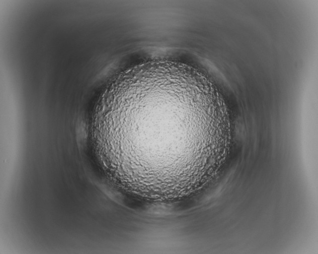 X0000111530691200907211245