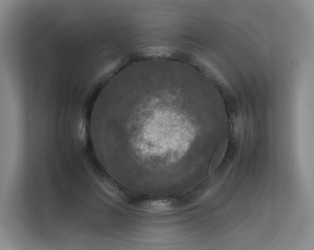 X0000111530692200907211245