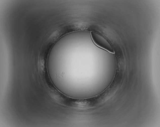 X0000111530693200907211245