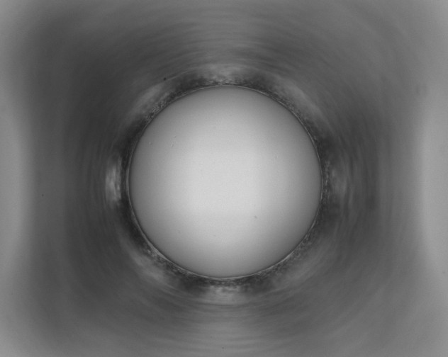 X0000111530694200907211245