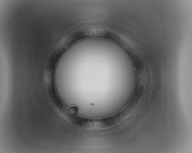 X0000111530695200907211245