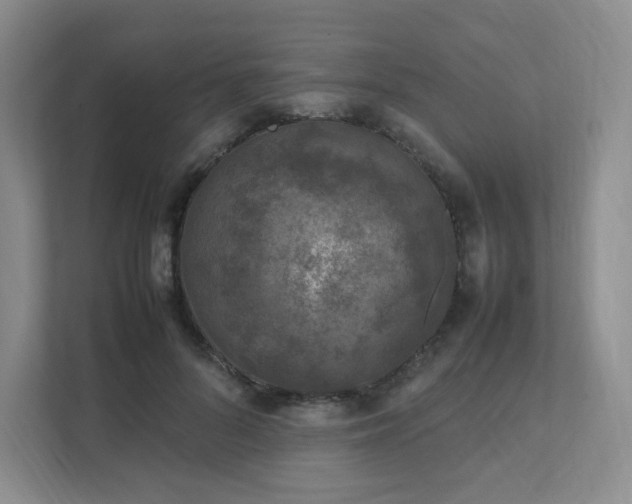 X0000111530696200907211245