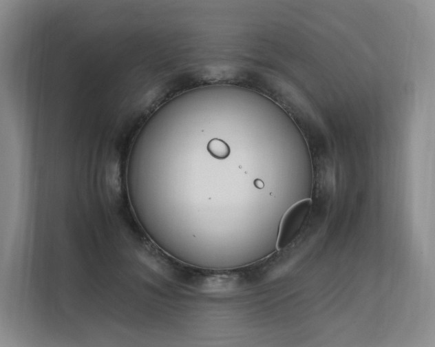 X0000111530700200907211245