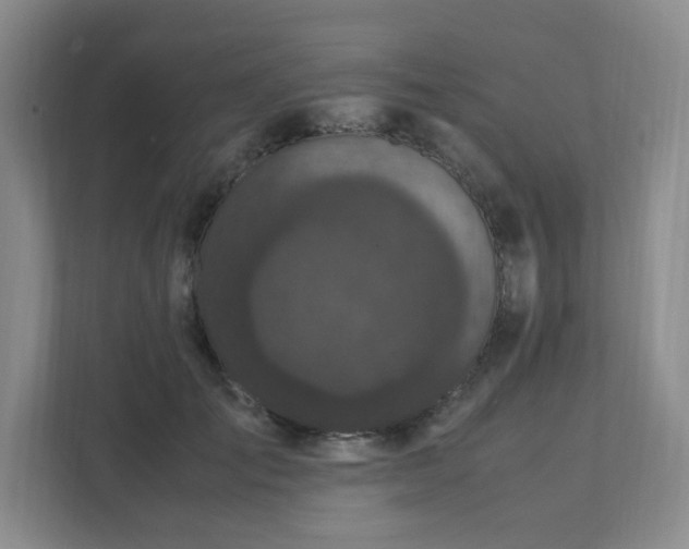 X0000111530701200907211245