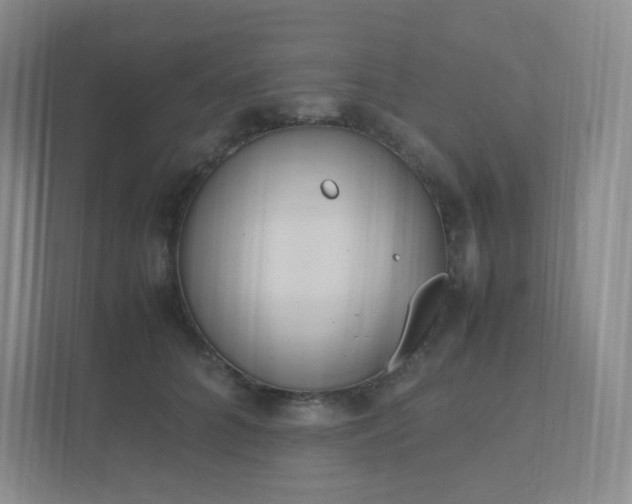 X0000111530704200907211245