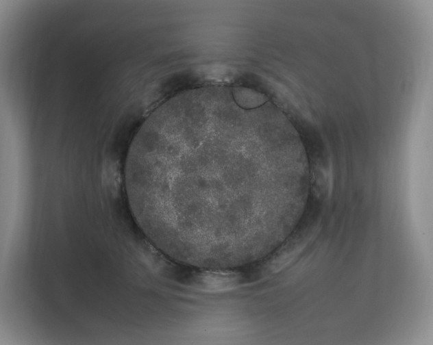 X0000111530707200907211245