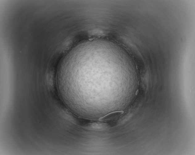 X0000111530708200907211245