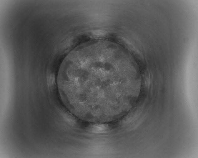 X0000111530711200907211244