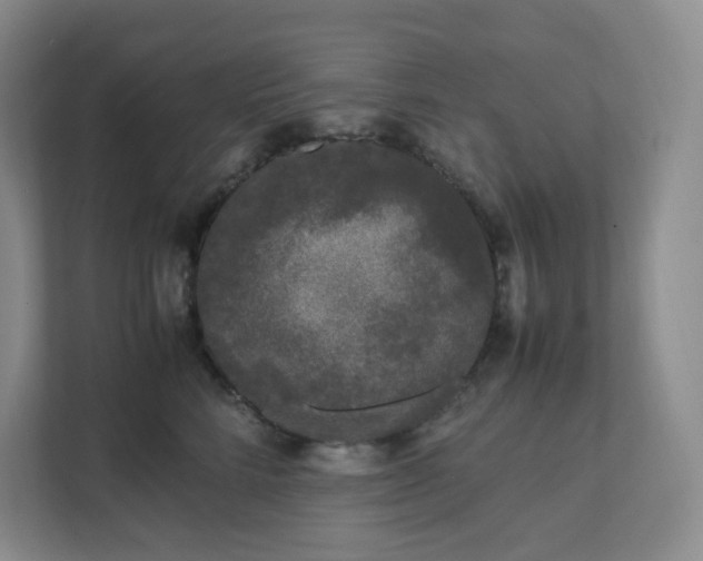 X0000111530712200907211244