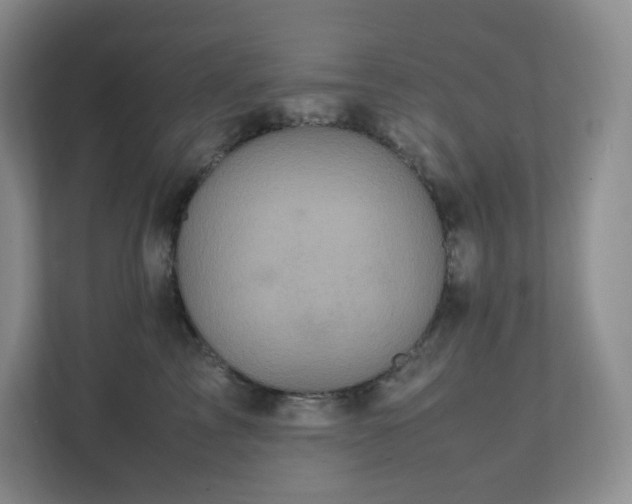 X0000111530713200907211244