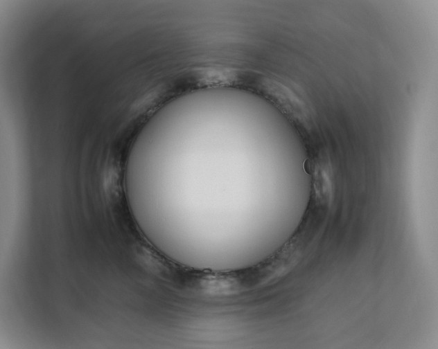 X0000111530714200907211244