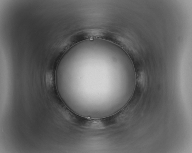 X0000111530715200907211244