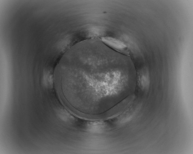 X0000111530716200907211244