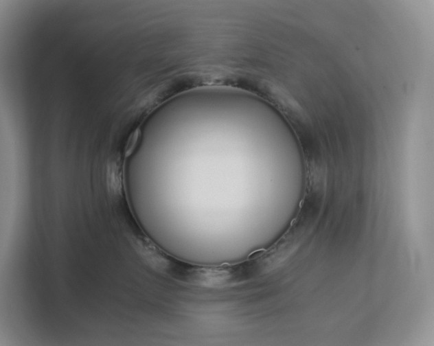 X0000111530719200907211244