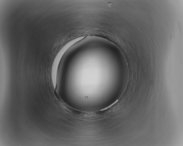 X0000111530720200907211244